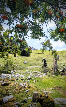 Enduro VTT Alpage suisse (Initiation) - Activité Jura - Equipés de VTT tout suspendus, 2H30 de parcours sur profil...
