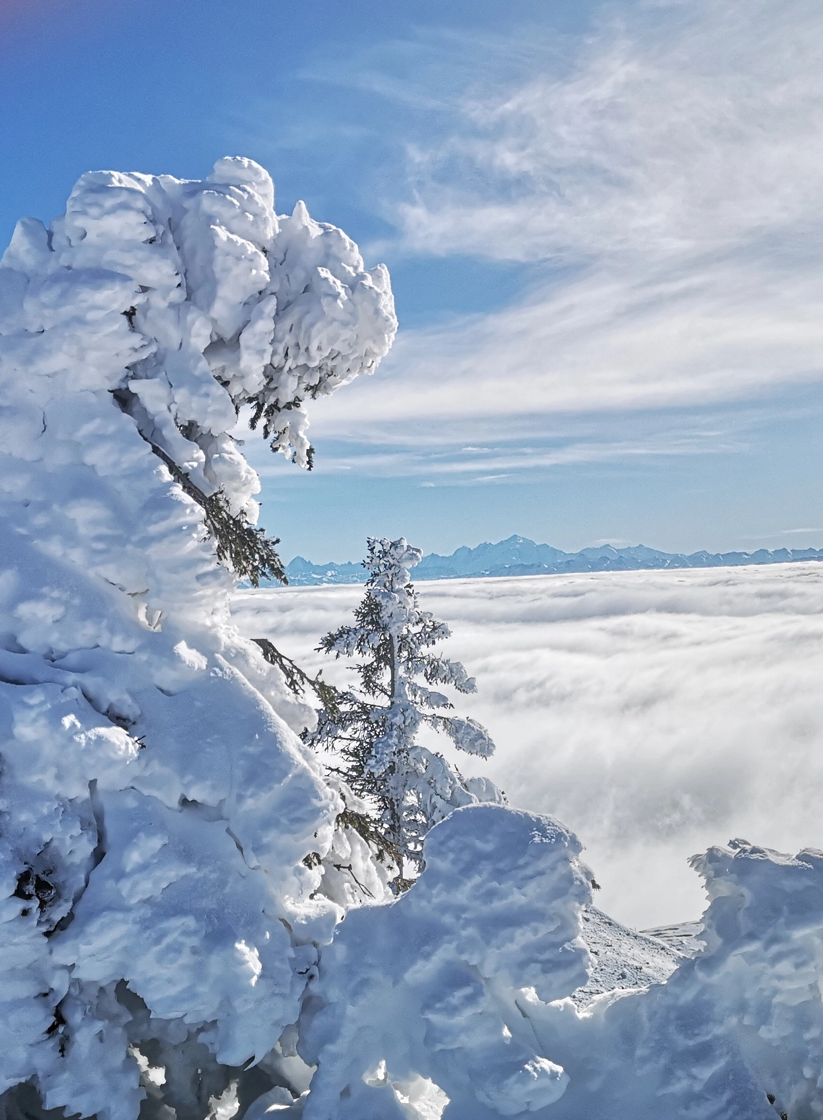 Randonnée raquettes <br> Balcons du Leman - neige dans le Jura - Une randonnée sauvage au cœur du Jura pour...