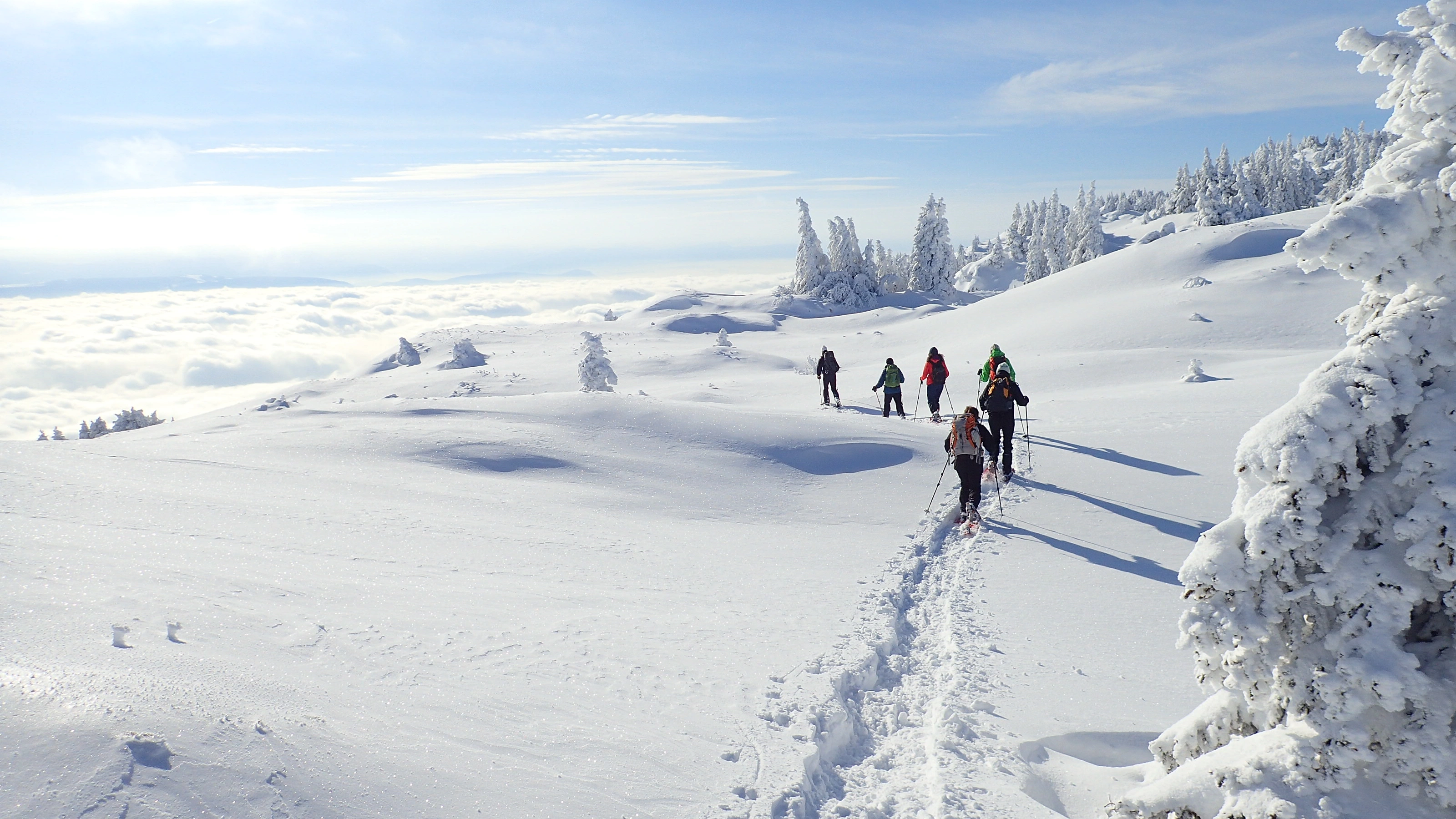 Randonnée raquette <br> Journée dans le Jura  - neige dans le Jura - Au cœur du Jura, une journée en raquettes...
