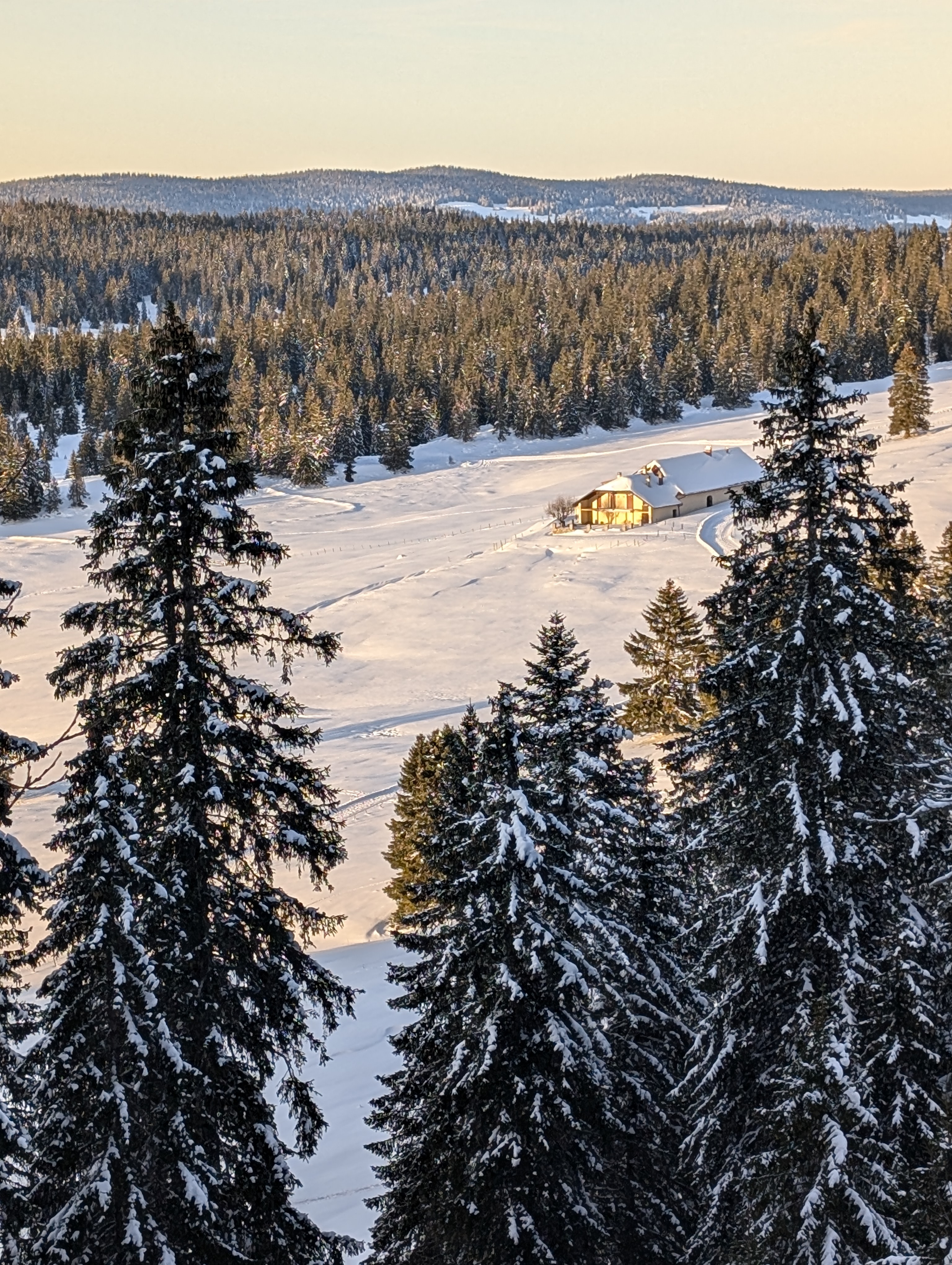 Randonnée raquettes <br> Sapins &amp; Myrtilles  - neige dans le Jura - Balade en forêt avant de déguster la...