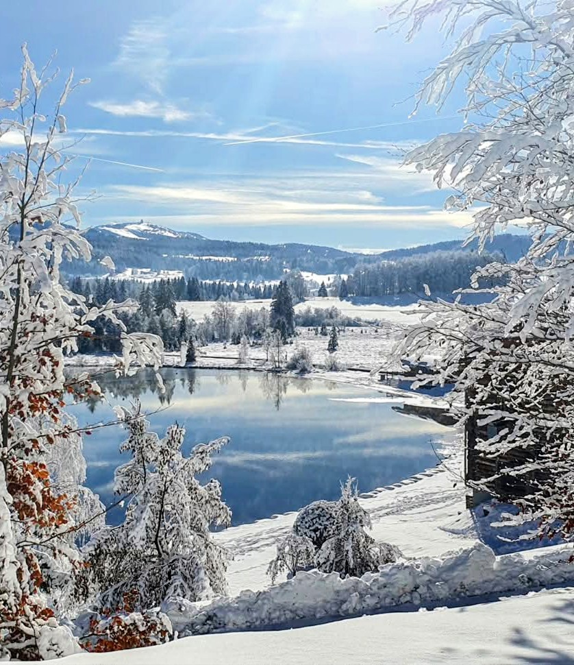 Randonnée raquettes <br> Lac &amp; tourbière  - neige dans le Jura - Une balade facile pour découvrir le monde...