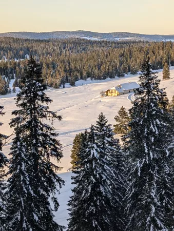 Randonnée raquettes <br> Sapins & Myrtilles  - Activité Jura - Balade en forêt avant de déguster la...
