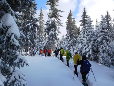 Randonnée raquettes <br> Journée au chalet - Activité Jura - Une belle journée au sein d'une forêt...
