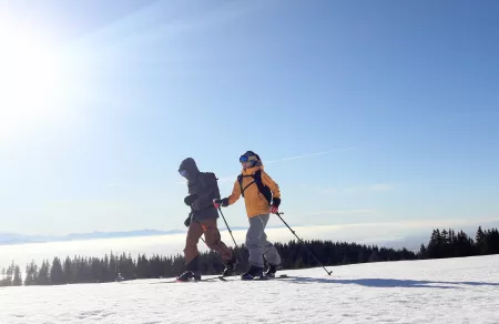 Ski de rando initiation - Activité Jura - Demi-journée de randonnée, avec conseils de progression à plat, en...