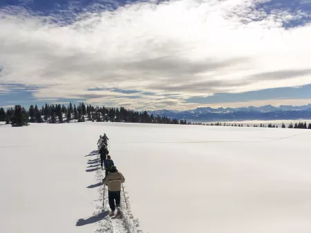 Raquettes & Détente  - Activité Jura - Un doux cocktail de découverte nature et de bien être au coeur de la...