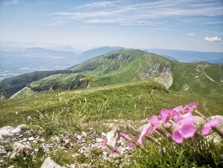 Le Toit du Jura - Activité Jura - Le sommet incontournable du Jura, le Crêt de la Neige pour tous. Approche...