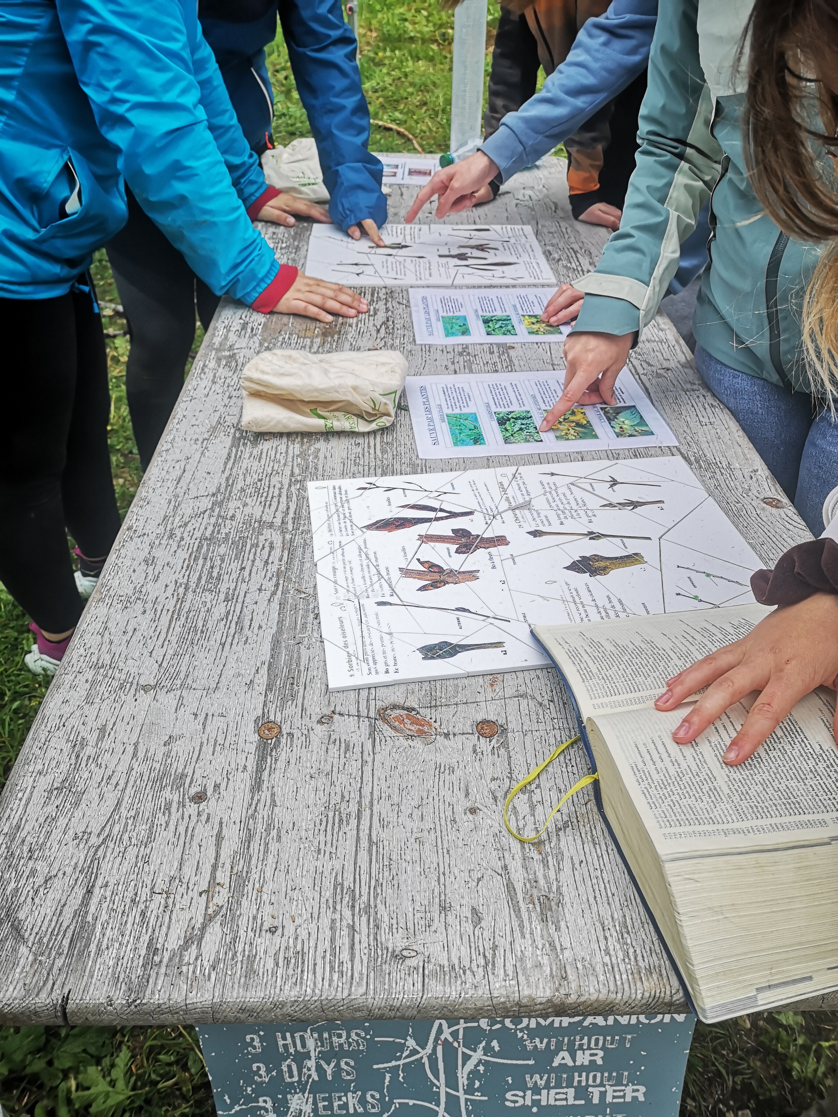 SEMINAIRE :Chasse aux Trésors gourmande neige ou hors neige - neige dans le Jura - Orientation en équipes, énigmes sur...