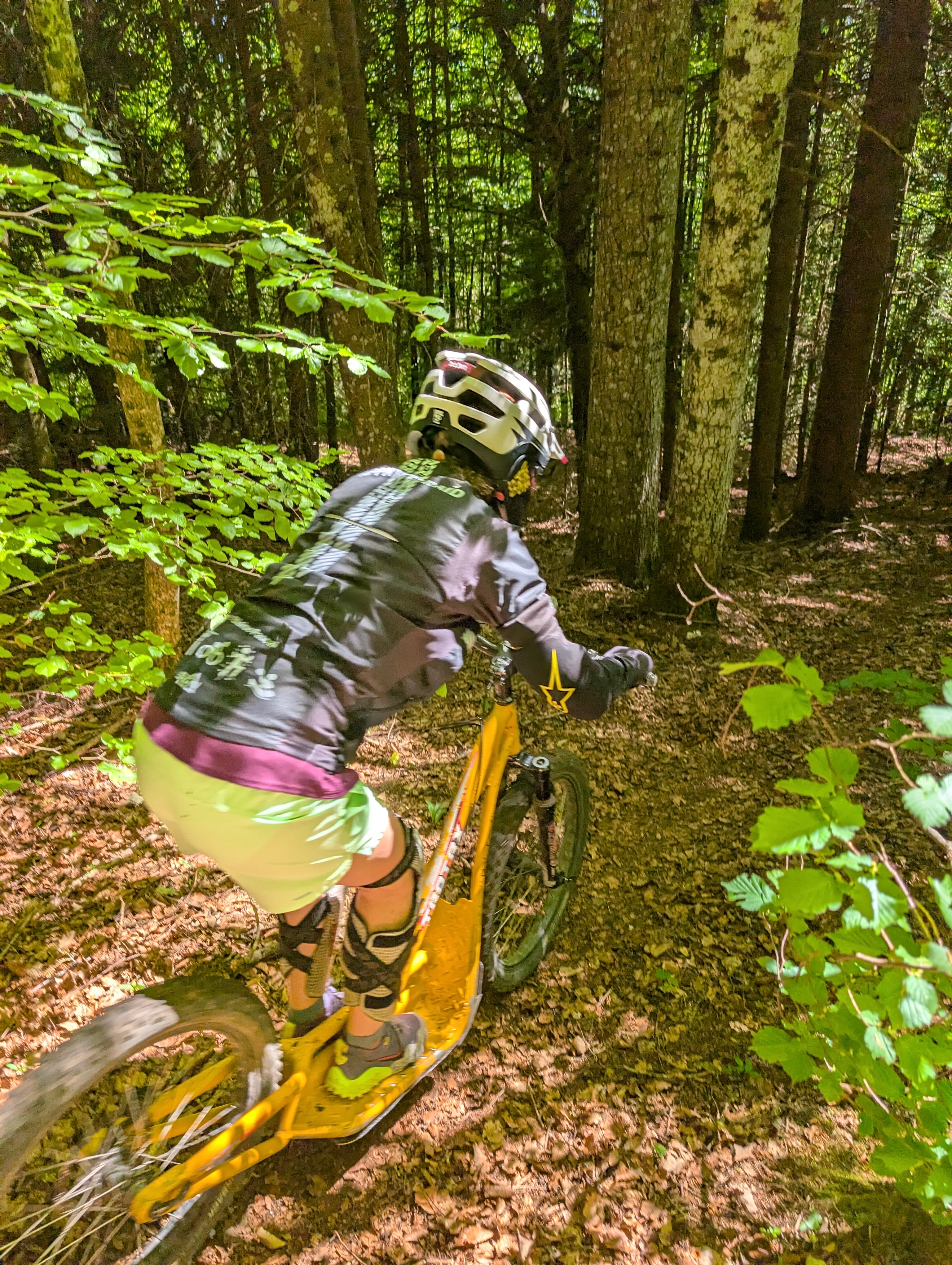 Descente en Trottinette de montagne dans le Jura - Activité Jura - Activité ludique de descente avec une trottinette de...