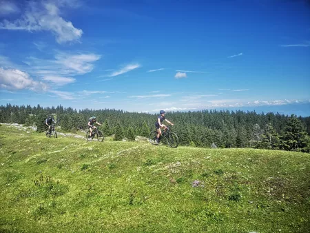 Crêtes du Jura en VTT - Activité Jura - A vous la belle vue sur les Grandes Alpes et le Mont-Blanc !! Parcours dans...