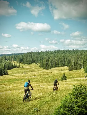 Rando VTT alpages suisses  - Activité Jura - Parcourez les beaux alpages du Jura Suisse