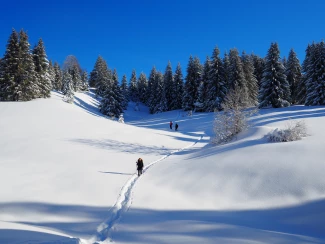 Réveillon en hôtel dans le Jura - Séjours et stages dans le Jura - Quatre jours de randonnée en étoile depuis un...