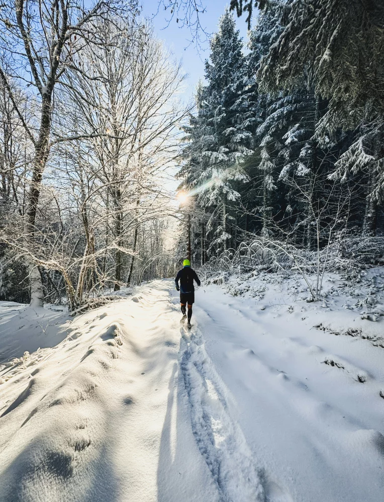 Deux coureurs sur un sentier enneigé, au milieu d'une forêt en hiver