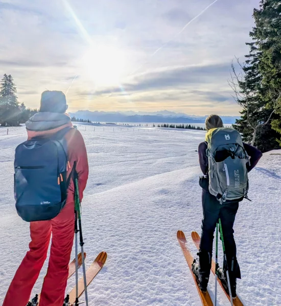 En Janvier, plein d'idées d'activités originales et connectées à la nature