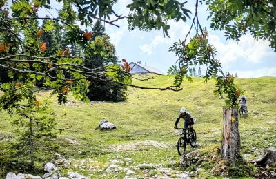 Enduro VTT Alpage suisse (Initiation) - Activité Jura - Equipés de VTT tout suspendus, 2H30 de parcours sur profil...