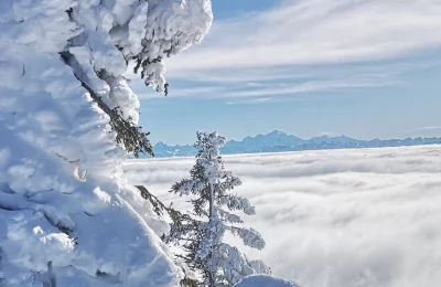Randonnée raquettes Balcons du Leman - Activité Jura - Une randonnée raquette sauvage avec un guide de montagne au...